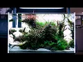 Download Lagu DAICHI ARAKI- ADA AQUASCAPE AT GREEN AQUA - 4K CINEMATIC