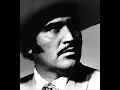 es mi niña bonita - vicente fernandez