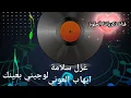جديد غزل سلامة ، ايهاب العوني دبكات لوجيني بعينك