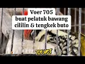 Lagu Pur Yang Cocok Buat Pelatuk Bawang, Cililin \u0026 Tengkek Buto