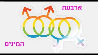 שלומית בונה סוכה 