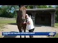 Building community Families of fallen first responders military gather at NH horse sanctuary
