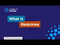 What is response explainer 11 Problem solving with the SARA model