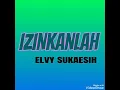 Download Lagu Izinkanlah - ELVY SUKAESIH ( lagu dangdut jadul )