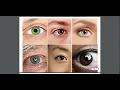 Unit 3 Lesson 7 L L Vision