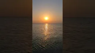 لمع البرق اليماني   بلبل الغرام   إلقاء  أسامة الواعظ دندنها