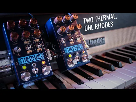 Chase Bliss Audio Thermae Delay + Pitch Shifter | Delicious Audio