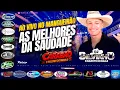 NOVO CARABAO AS MELHORES DA SAUDADE I DJ SILVINHO DO CARABAO I AO VIVO NO MANGUEIRÃO