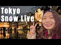 Lagu New Year Snow in Tokyo!❄️☃️ SnoKyo