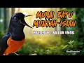 Download Lagu MASTER MURAI EMOSI MUNTAH ISIAN
