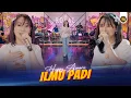 Download Lagu HAPPY ASMARA - ILMU PADI ( Official Live Video Royal Music )