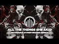 Lagu All The Things She Said (PET3RPUNX HyperTechno Remix) [Extended]