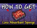 How to get Lava Absorbant Sponge in Terraria Lava Absorbant Sponge