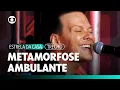 Download Lagu Michel Teló - Metamorfose Ambulante (Ao Vivo) | Estrela da Casa | TV Globo