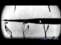 HRAM Shadowgraph