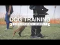 DOG TRAINING FUNDAMENTALS LESSON 1