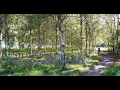 Download Lagu Nieuwegein Galecopperpark