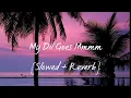 Download Lagu My Dil Goes Mmmm | Slowed + Reverb | Salaam Namaste | Vishal \u0026 Shekhar | Shaan , Gayatri Iyer |