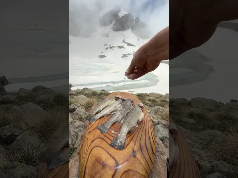 Buzul Gölde Taş Üstünde Benekli Alabalık 🐟 - cooking spotted trout at a glacial lake