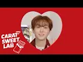 Lagu 💎HAPPY 10th CARAT DAY : CARAT SWEET LAB💎