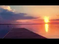 Tranquil Escape - Swimming Fish and Serene Beach Scenes 7 Minute Relaxation