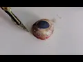 Eye Dissection GCSE A Level Biology NEET Practical Skills