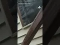 Deputies plunge several feet as deck collapses while trying to serve arrest warrant