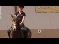 Download Lagu Op en afstijgen - Manege Zilfia's Hoeve - Instructievideo