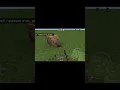How to spawn unlimited iron golem with command block