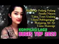 Download Lagu 🔰 LAGU BUGIS  🔰 KUMPULAN LAGU BUGIS VIRAL , Koleksi Lagu Lagu Bugis Viral