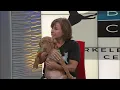 Berkeley Animal Center - Turkey