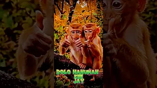 You Have Hanuman S Blessings Everything Will Be Just Fine Shorts 