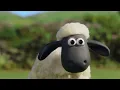 Lagu Shaun the Sheep Causes Farmyard Chaos 😂🐑