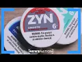 Do Zyn nicotine pouches help you lose weight NewsNation Live