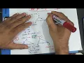 Congruent Triangles All Four methods
