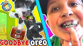 SAYING GOODBYE TO PUPPY Hello to Mikes New BRACES FUNnel Vision Vlog