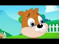 Where is my squirrel tail ? | Kindergarten animal education songs for children by Fun For Kids TV