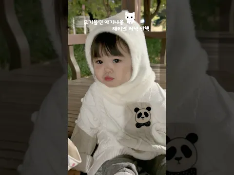 아기고양이 재이 🤍🤍🤍#박수홍 #재이 #다홍이 #김다예 #행복해다홍