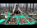 Huge Morel Mushrooms Everywhere We Loaded