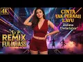 Download Lagu Remix Cinta Tak Pernah Layu – Delima Dwiaristya | Dangdut Remix Romantis Full Bass 2025