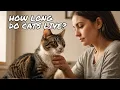 How Long Do Cats Live The Truth About Cat Lifespans