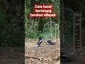 Download Lagu Cara kacer bertarung Adu Vokal sampai teler #shorts #kacer #kacermania