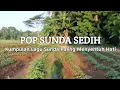 Download Lagu Kumpulan Lagu Sunda Paling Menyentuh Hati | Bikin Nangis \u0026 Rindu Kampung Halaman