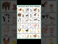 Download Lagu List of Animals and their babies name #english #englishwords #englishvocabulary #wordmeaning