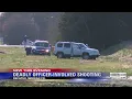 Deadly Officer-Involved Shooting in Decatur