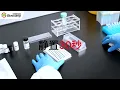 Lagu 🔬 How to Perform ELISA (Enzyme-Linked Immunosorbent Assay) - Step-by-Step Guide