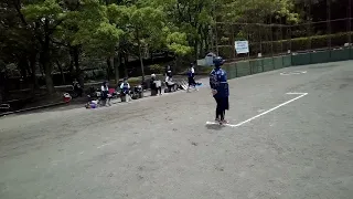                                                دندنها