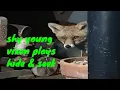 Shy young urban vixen plays hide and seek at the back door