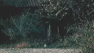 indahnya menikmati pemandangan alam di pagi hari cocok buat relaxasi