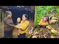 Download Lagu Single mother picks bamboo shoots to sell, cruel mother-in-law loses memory after accident